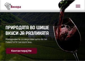 ceni za izrabotka na veb strani (1)